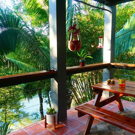 Riverhill Hideaway Monkey Fall エクステリア 写真