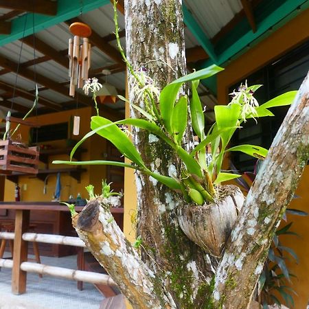 Riverhill Hideaway Monkey Fall エクステリア 写真