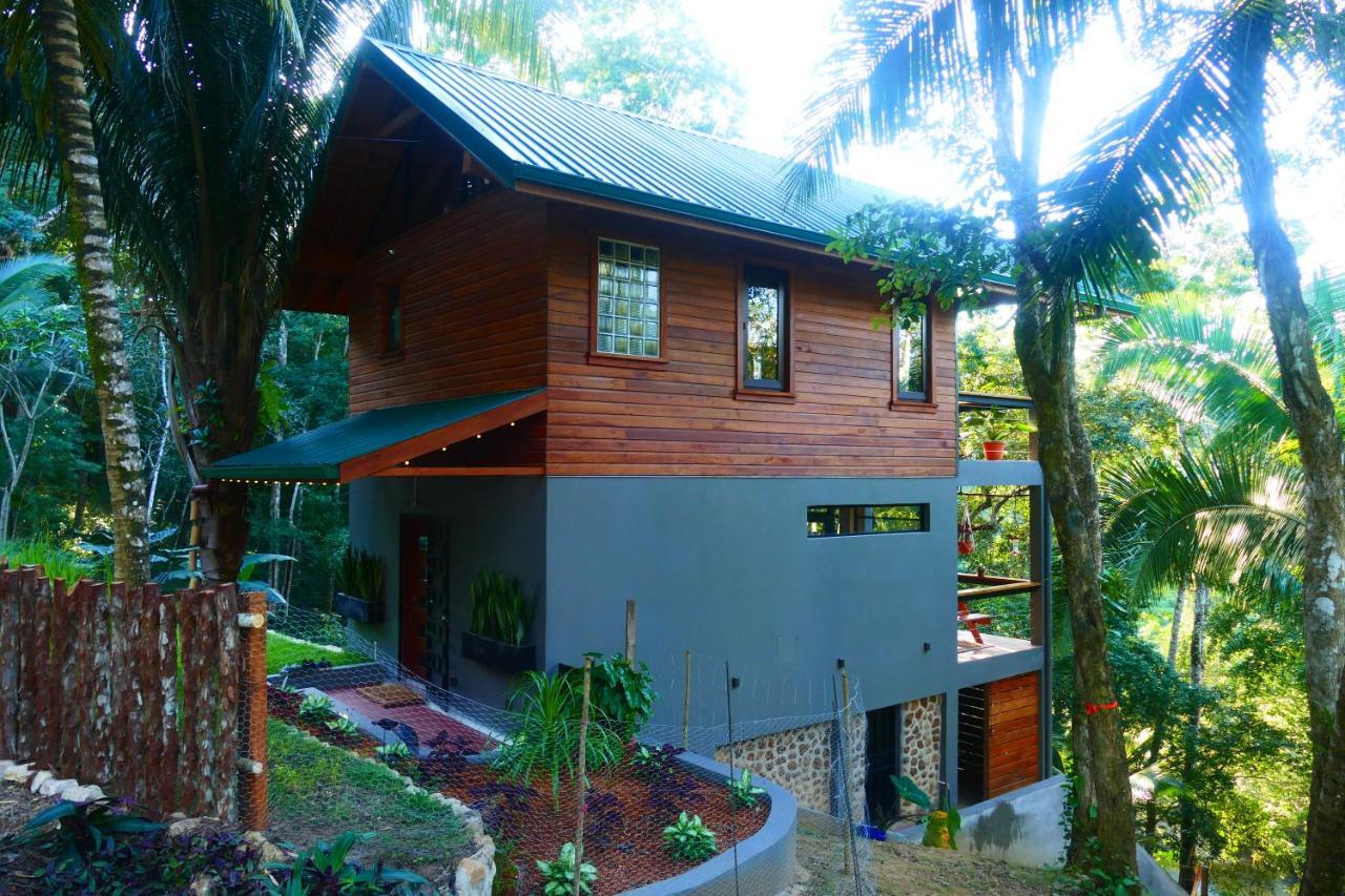 Riverhill Hideaway Monkey Fall エクステリア 写真