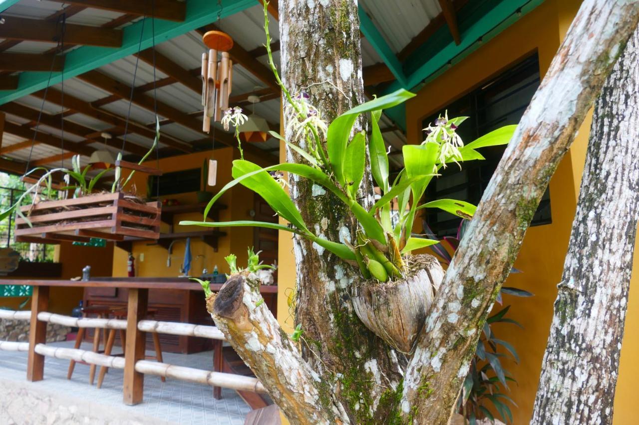 Riverhill Hideaway Monkey Fall エクステリア 写真