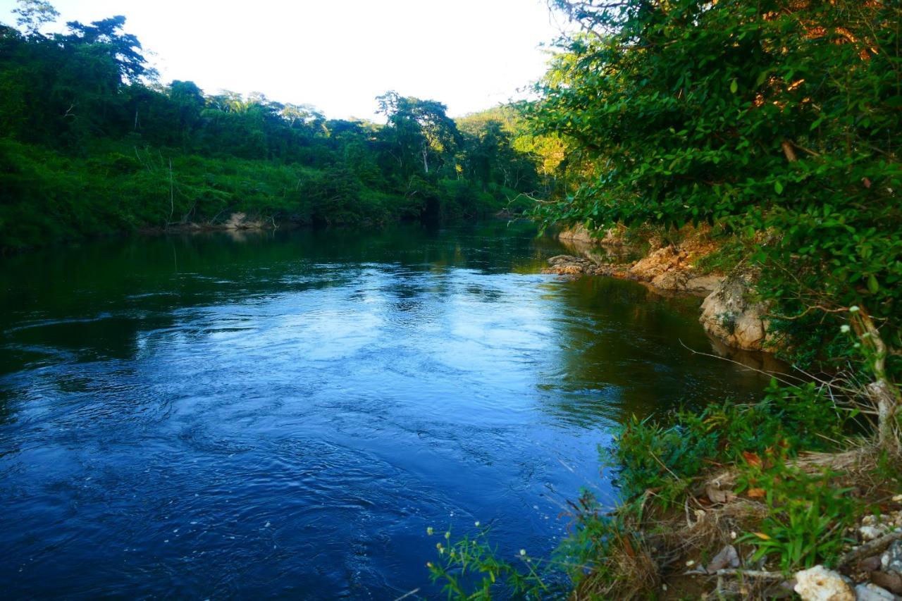 Riverhill Hideaway Monkey Fall エクステリア 写真