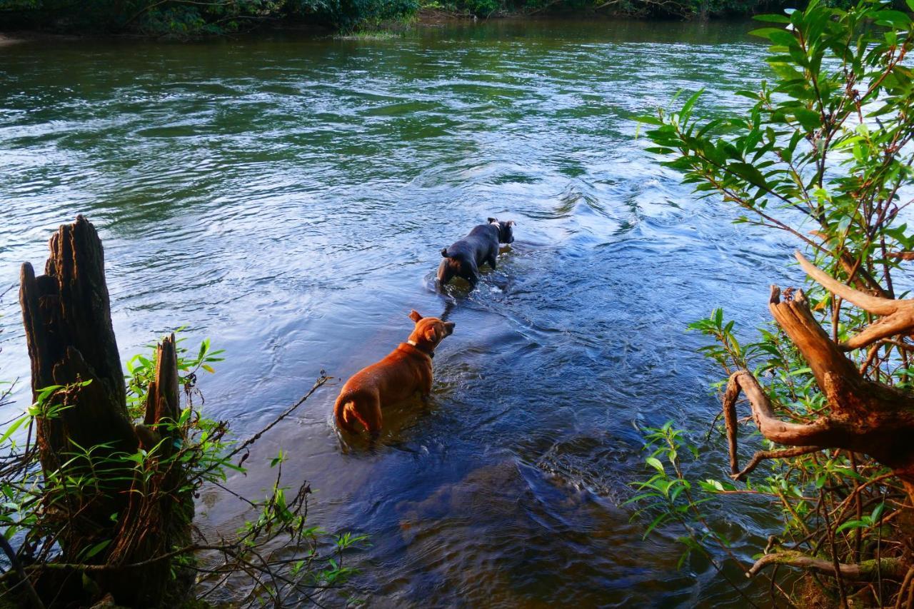 Riverhill Hideaway Monkey Fall エクステリア 写真